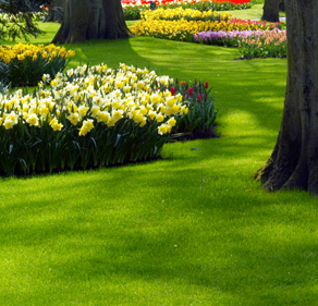 Landscaping in Georgetown - Right Image 1